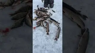 Рыбалка на Самодельную удочку