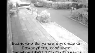 Помогите найти воришку!