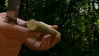 Ray Mears - Cutting with a Knife, Bushcraft Survival