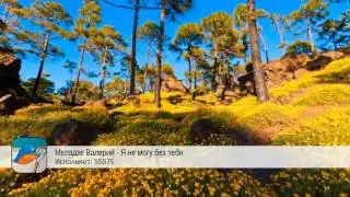 Меладзе Валерий - Я не могу без тебя (55575)