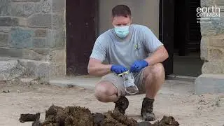 What happens to elephant poo at the zoo?