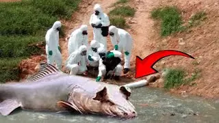 What They Found on the Edge of the Euphrates River, Shocked the Whole World