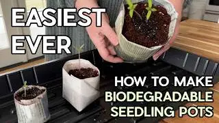 Make FREE Seed Starting Plant Pots in 2 Minutes!