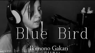 Blue Bird - Ikimono Gakari - Cover by LC Naruto Shippuden