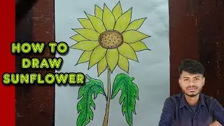 How To Draw Sunflower 🌻 | SUNFLOWER DRAWING EASY | Easy Sunflower Drawing For Beginners