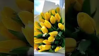 ДОБРЫЙ ВЕЧЕР