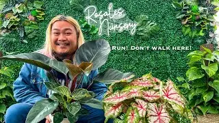 A Plant Lover’s TREAT | You Gotta Go to Rosales Nursery!