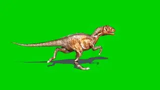 Green Screen Footage || Animals dinosaur || Greenscreen Animations