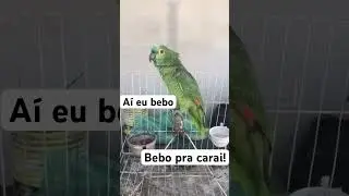 Quem aí bebe pá carai?