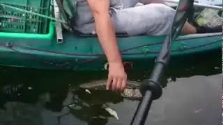 Kayak fishing hangout - Pike C&R