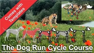 The Dog run cycle - I have created a course & Templates to help you animate your dog run cycles