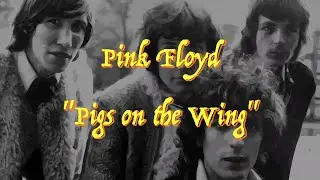 Pink Floyd - Pigs on the Wing - Guitar Tab ♬