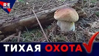 Самый любимый отдых.