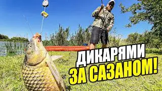 Я ЕГО ПОЙМАЛ!!! РЫБАЛКА НА САЗАНА КАК ВО СНЕ! ДИКАРЯМИ В АСТРАХАНСКИЕ НИЗОВЬЯ!