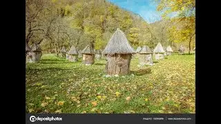 Место под пасеку.
