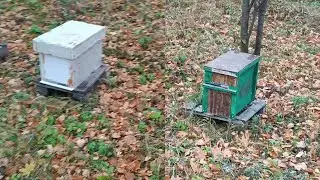 Поездка на лесной точёк за малышами