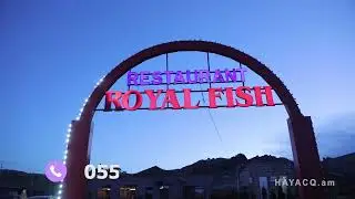 Հայացք-ԱՐՔԱՅԱԿԱՆ ՁՈՒԿ/ROYAL FISH