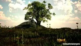 3DS Max (VRay + Vue) Animation