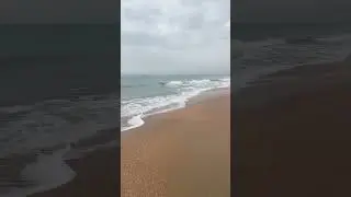 Доброе утро.