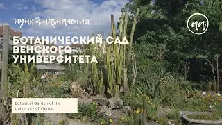 Влог.Сходили в Ботанический сад в Вене. Австрия. Вена обзорная экскурсия города.