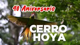 ¡Celebrando 40 Años del Parque Nacional Cerro Hoya!  Evento de Conservación y Cultura en Azuero