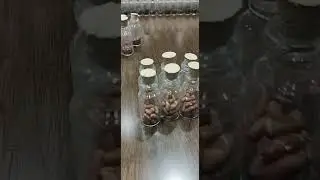 Seeds(1)