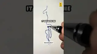 How To Deal With Demotivation In School (2020)