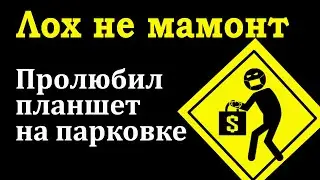 Лох не мамонт