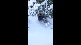 The makings of a perfect Lynx day
