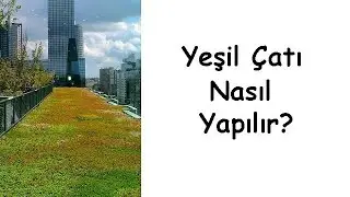 How to Build a Green Roof?