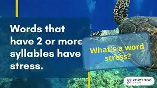 Syllable & Stress