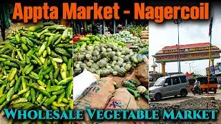 Wholesale Vegetable Market in Nagercoil City | Appta Market - Nagercoil | அனைத்தையும் மலிவு விலையில்