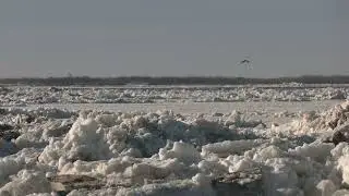 ЛЕДОХОД РЕКА ПЕЧОРА ГОРОД НАРЬЯН-МАР 2024 ГОД