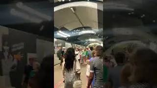 300 лет Екатеринбургу - Новый переход на Плотинке