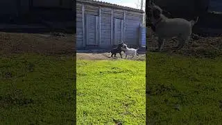7 мая 2024 г.