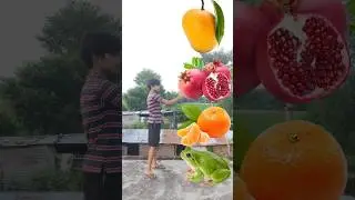 Frogs Flicker in Mango, Pomegranate, Orange, Grapess - vfx magical video #shortsfeed