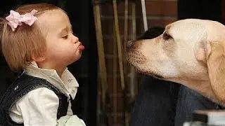 Sjove Hunde Og Babyer Taler - Sød Hund