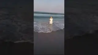 Bride Falls While Doing a Photoshoot As Big Waves Crashes Into Her - 1196834