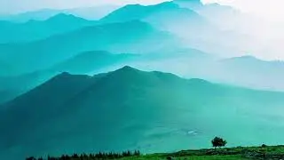 Очень Красивый Нашид🌿🤍| Beautiful Nasheed🌿🕊| #nasheed