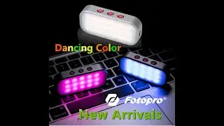 NEW ARRIVALS - BOMSHOT - DANCING COLOR