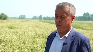 SHOLICHILIK- YANGI MANZUR NAVI