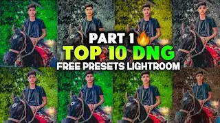 Top 10 DNG Lightroom Presets Part 2 || Adobe Lightroom Presets || Free Download 🔥