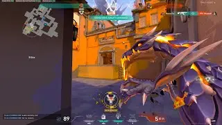The Rush