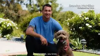 Get to Know Link The Smart Pet Wearable
