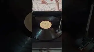 Nikka Costa emociona sempre