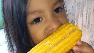 Shadow H first eat sweetcorn