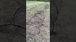 вентерь 