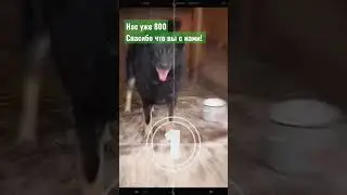 Нас уже 800. Спасибо, что вы с нами. 