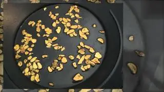 Gold Rush