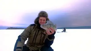 РЫБАКИ ДОВОЛЬНЫ)) ОКУНЬ и НАЛИМ. Зимняя рыбалка на Онего, сезон 2022- 23 гг.